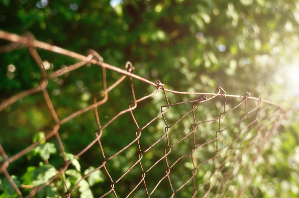 Die Schönheit der Natur umgeben von einem vor sich hin rostenden Zaun aus Metall