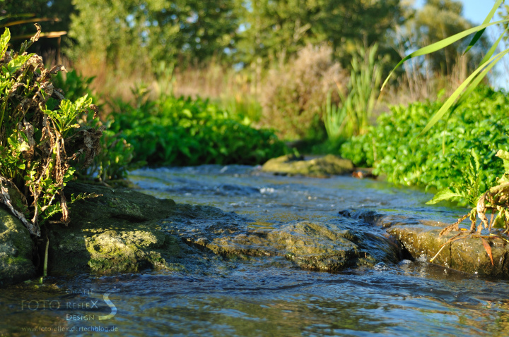 Das Wasser findet seinen Weg